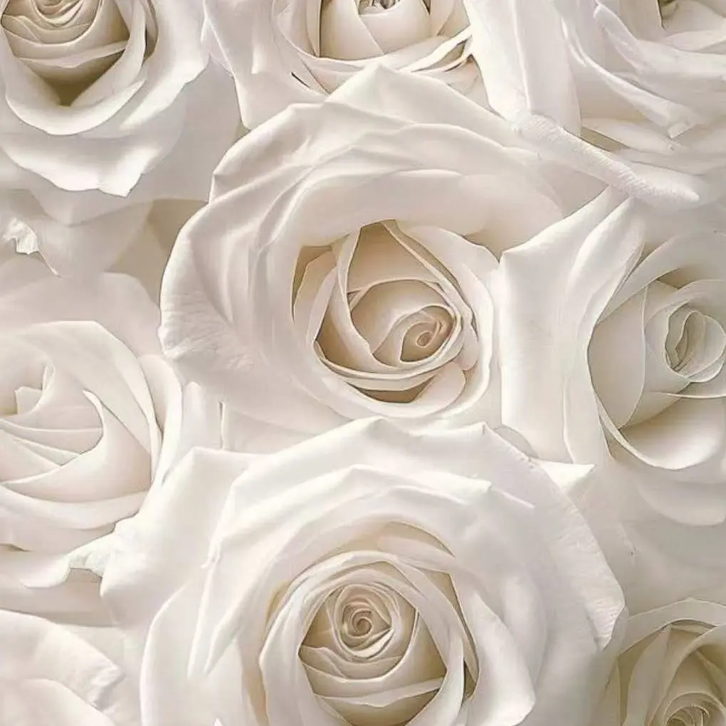 HotRiver8260의 M!LK