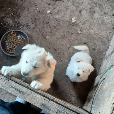 Profile image of usae