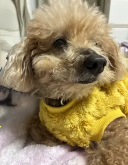 Profile image of 猫犬太郎