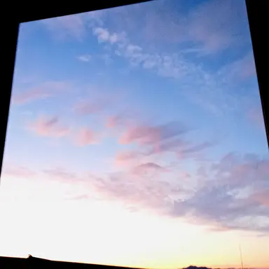 Profile image of 보구미