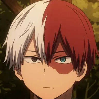 Profile image of Todoroki