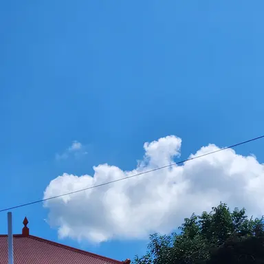 Profile image of 잠뜰