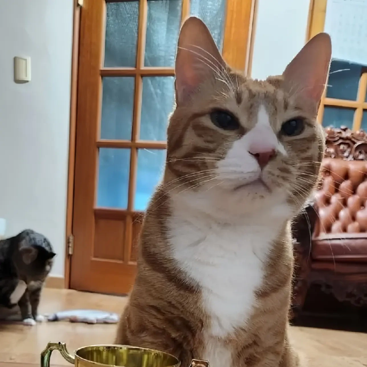 이민호