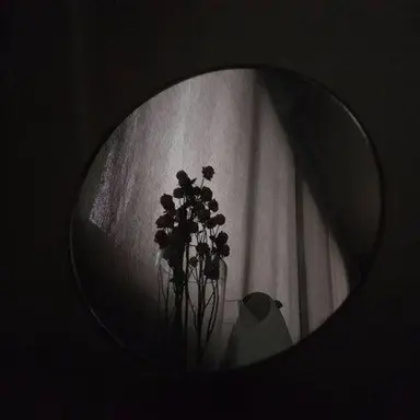 Profile image of 벨키