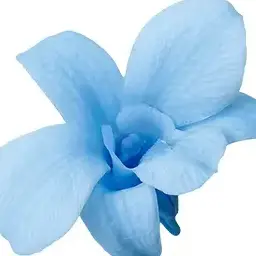 Profile image of みう