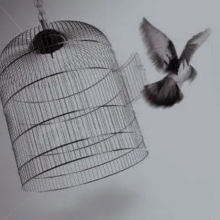 python_001의 막스 데미안