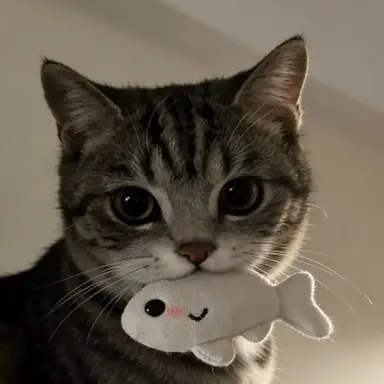 Profile image of Yasu