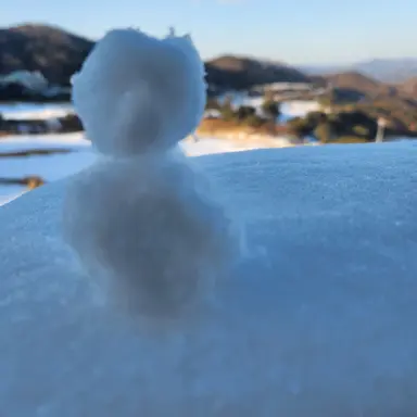 Profile image of 여우