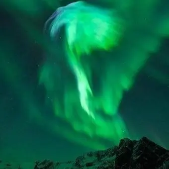 Profile image of 공룡