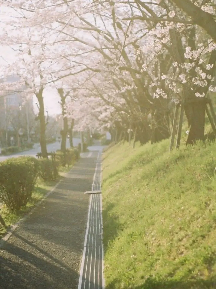 waksam.c8의 화연 花緣