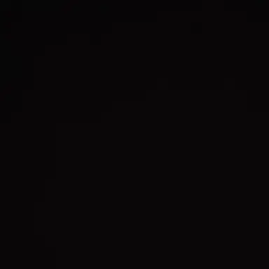 Profile image of 황현진