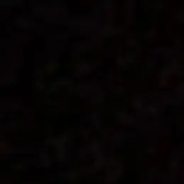 01txt01의 최수빈