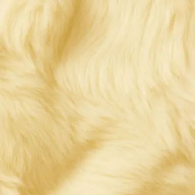 Profile image of じみん