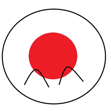 Profile image of Japan