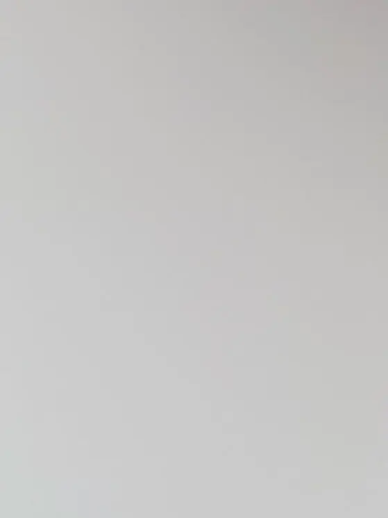 SwiftLemon5115의 愛されたい