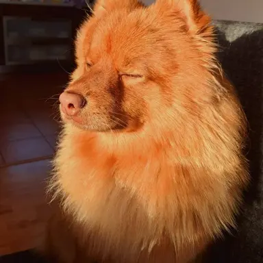 Profile image of 박덕개