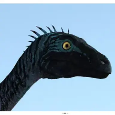 Profile image of 에오랍토르