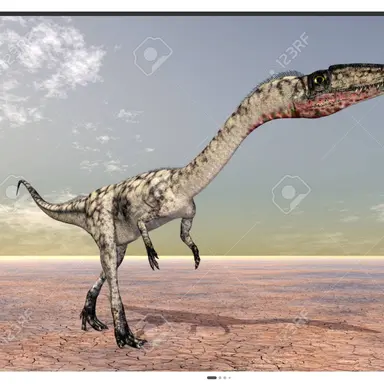 Profile image of 코엘로피시스