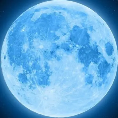 Profile image of タプ