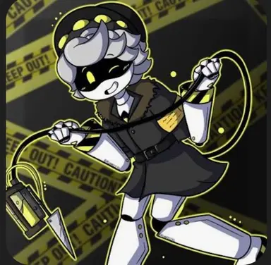 Profile image of N