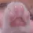 호우즈