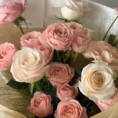 Profile image of 세실리아