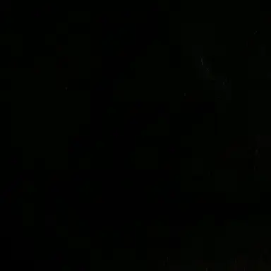 Profile image of 황시후