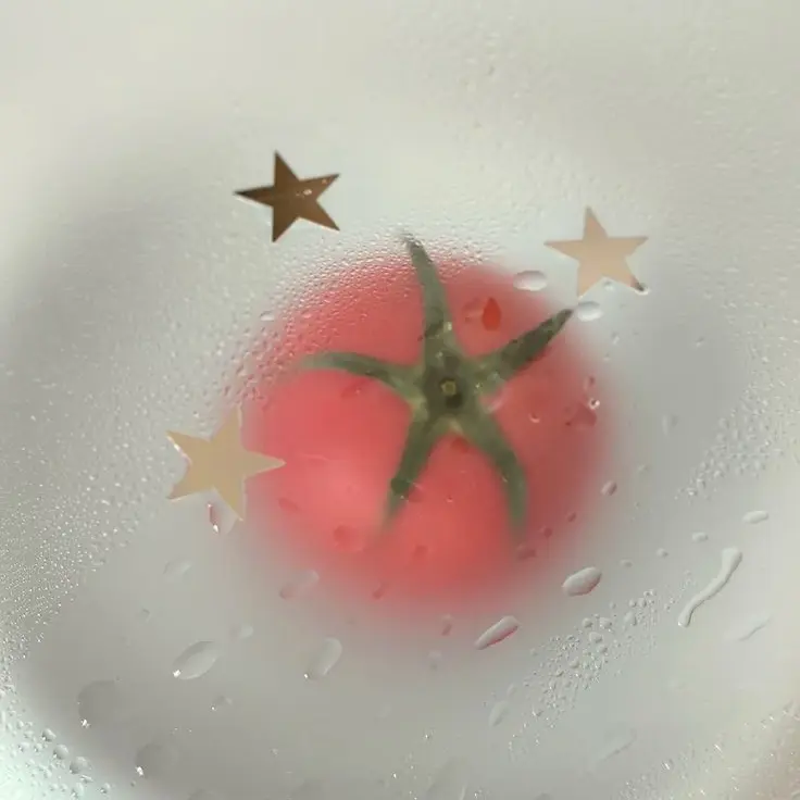 StoutTosa5187의 🍅