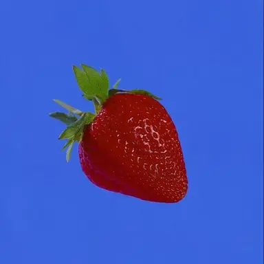 Profile image of 벨릭