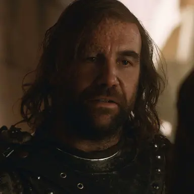 Profile image of Sandor Clegane