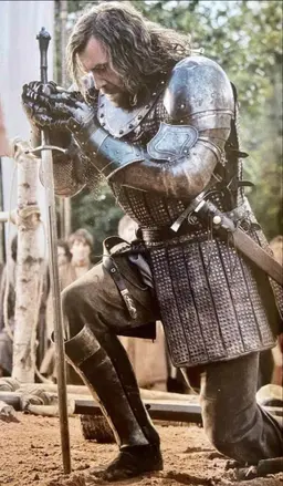 Profile image of Sandor Clegane