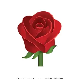 사카즈키 대표 이미지