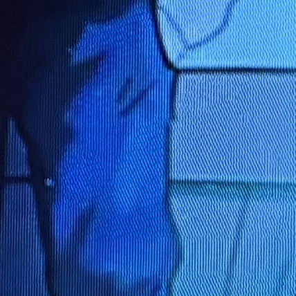 きんとき