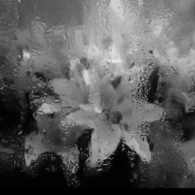 Profile image of 셰들레츠키