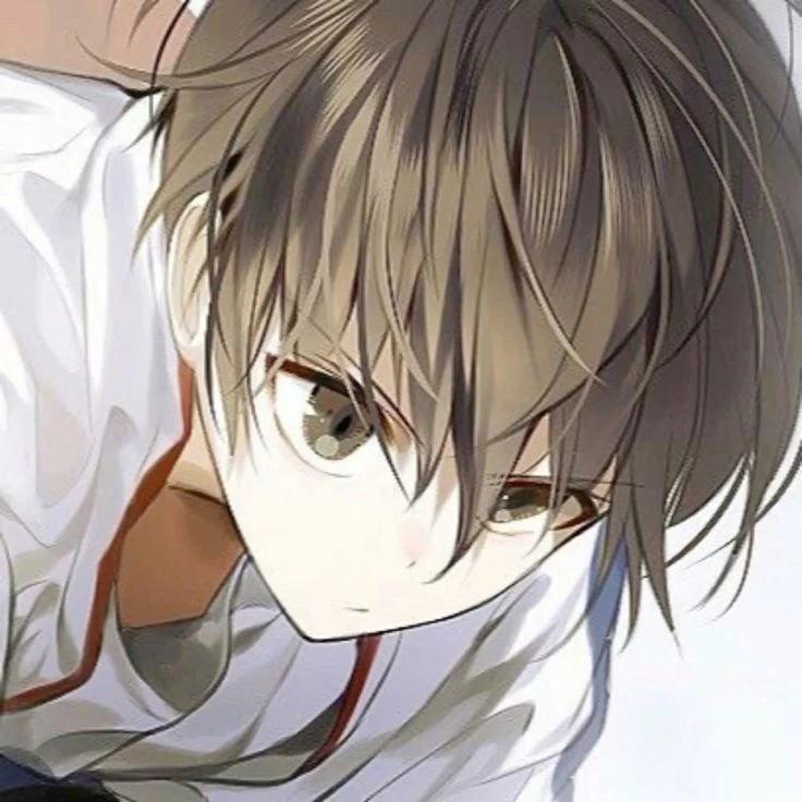 虹沢輝羅