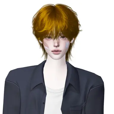 Profile image of 차보경