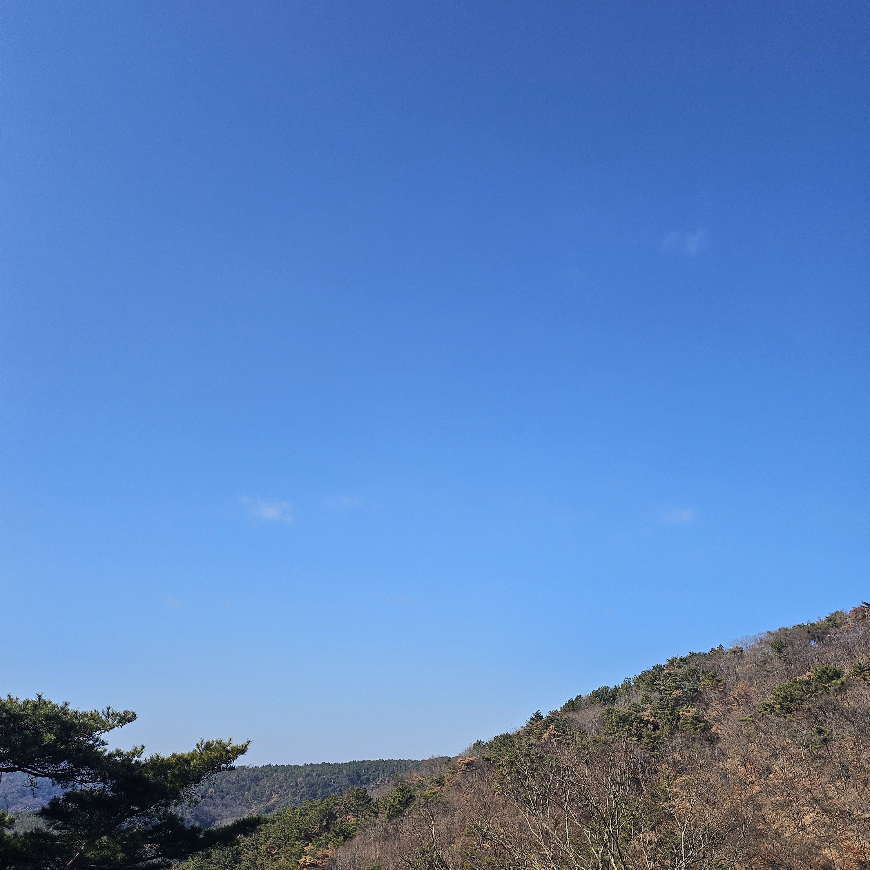 꽥꽥탐험대 MT 대표 이미지