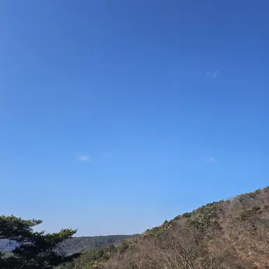 Profile image of 꽥