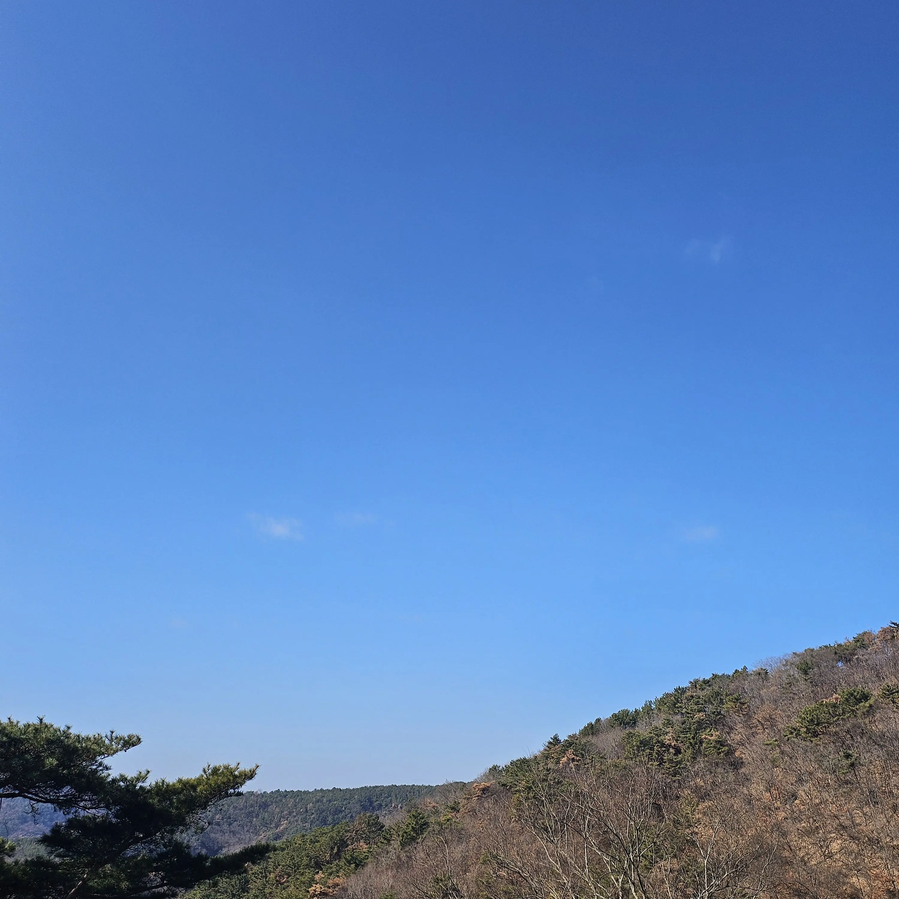 jiyul00127의 꽥꽥탐험대 MT