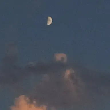Profile image of 시나즈가와 사네미