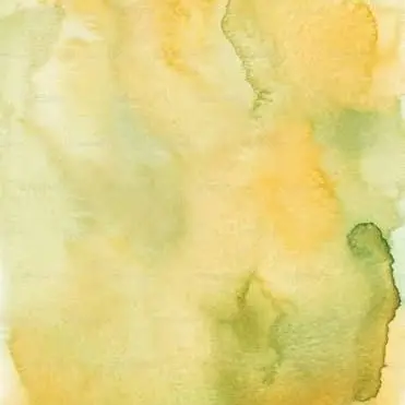 Profile image of 셰인