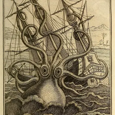 Profile image of The kraken