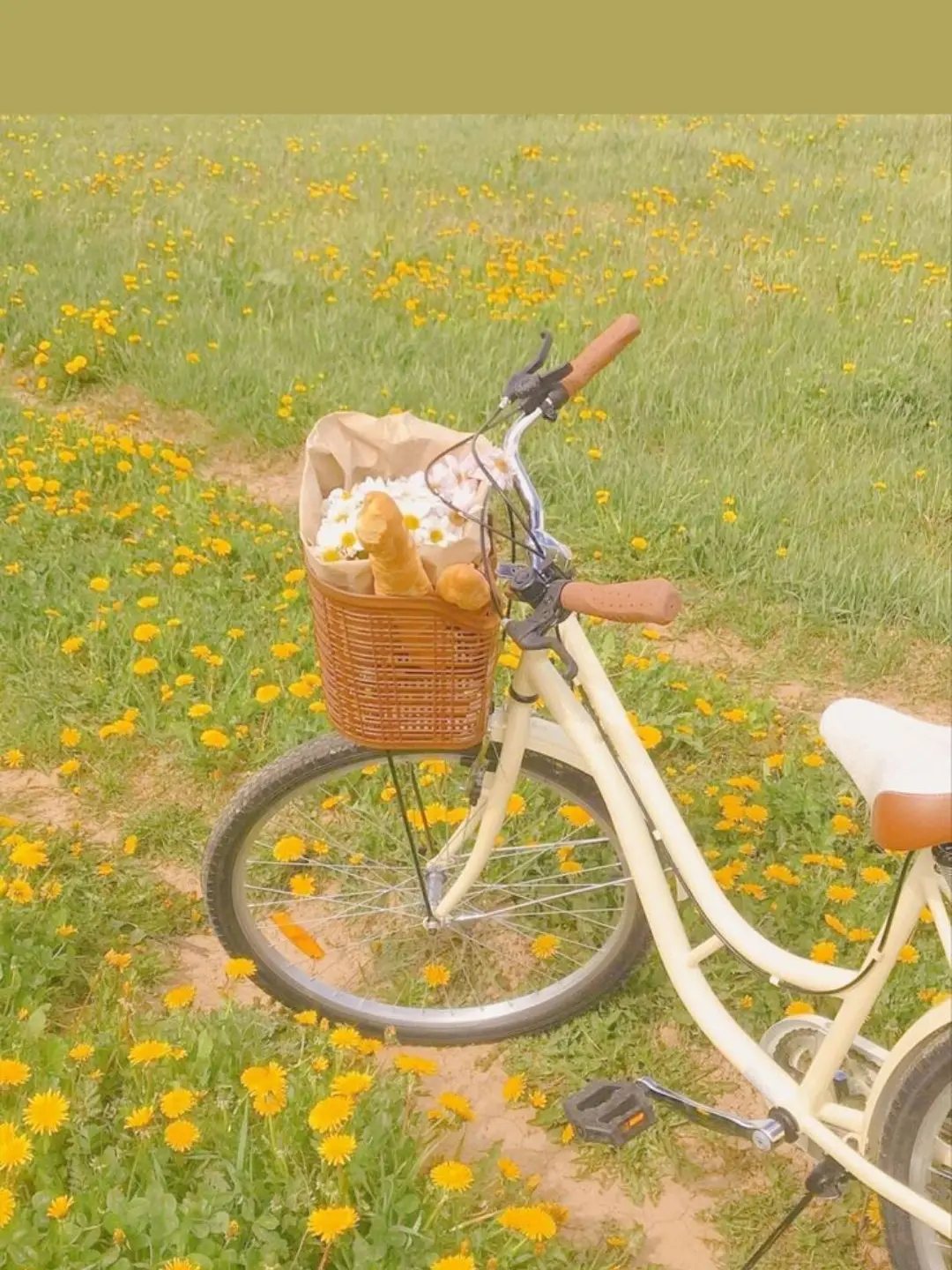 axolotl_1485의 아 , 이게 아닌데...