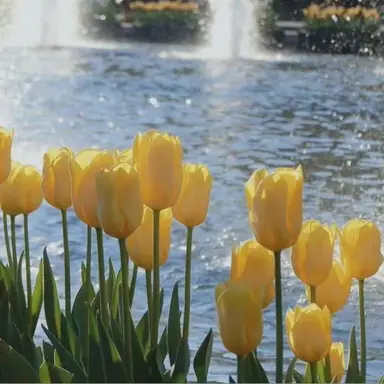 Profile image of 김각별