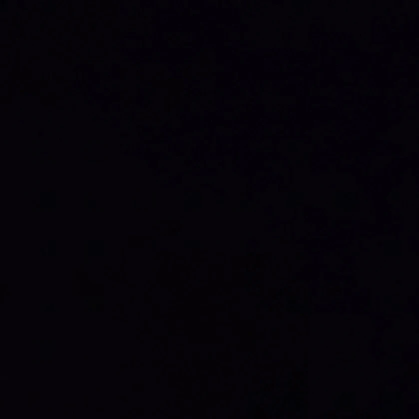 립우