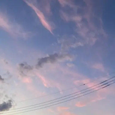 Profile image of 大森元貴