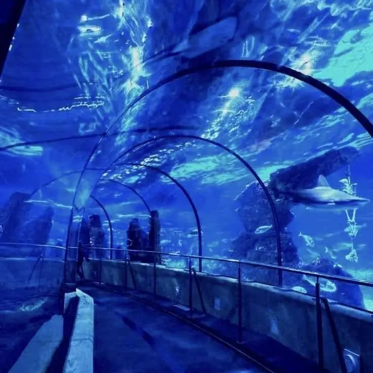 asdfasdf11111의 기상호