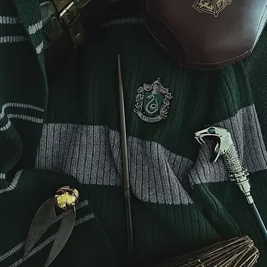 Profile image of ドラコ