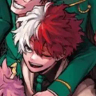 Profile image of Shoto Todoroki