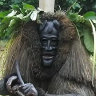 Profile image of 北センチネル島の住民